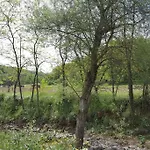 Mille Primavere * San Vincenti