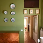 Mille Primavere * San Vincenti