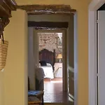 Mille Primavere San Vincenti