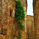 Mille Primavere San Vincenti
