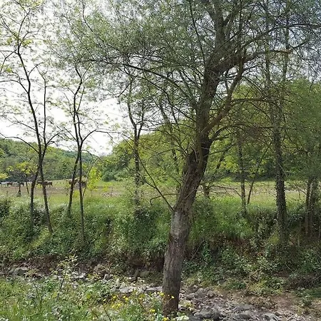 Mille Primavere * San Vincenti