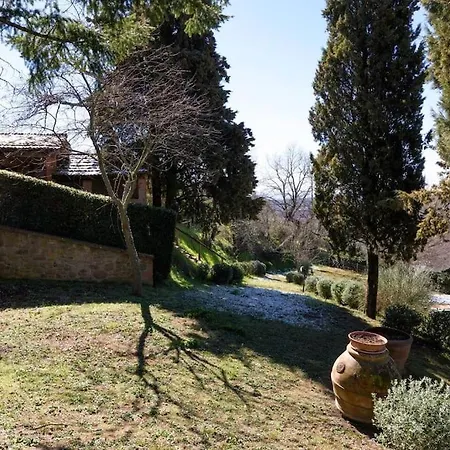 Mille Primavere