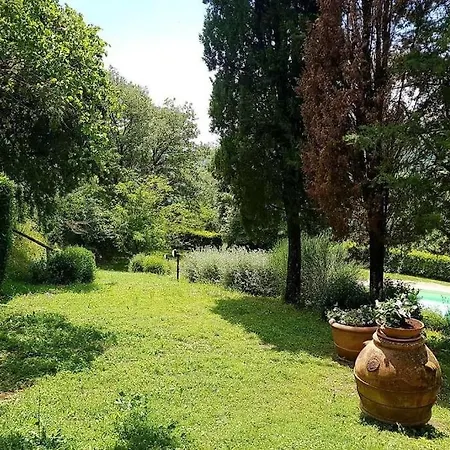 Mille Primavere * San Vincenti
