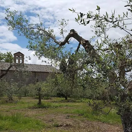 Mille Primavere Apartmán