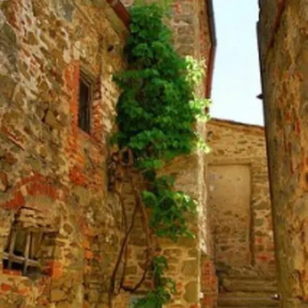 Mille Primavere San Vincenti