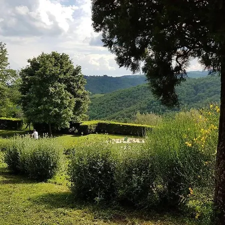 Mille Primavere San Vincenti